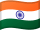 USD Flag