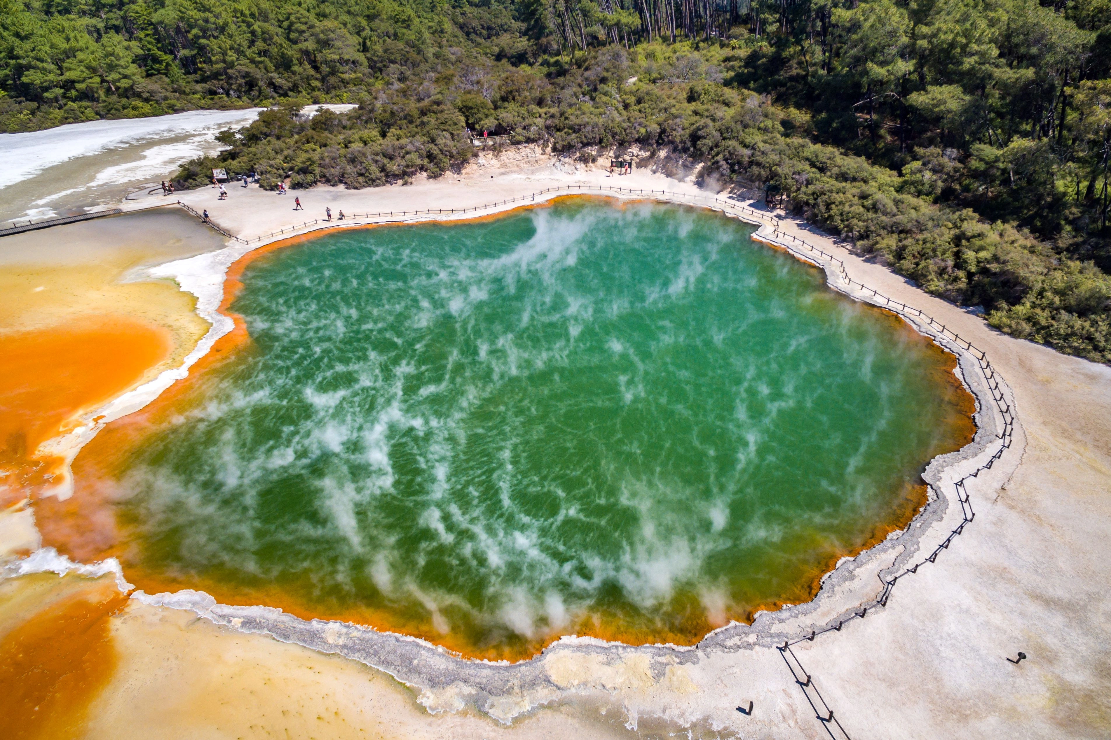 DISCOVER NEW ZEALAND