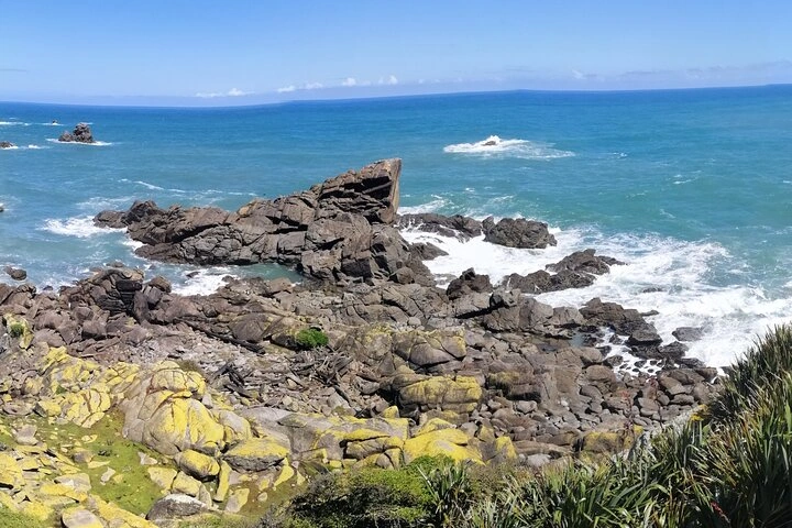 MAGNIFICENT NEW ZEALAND
