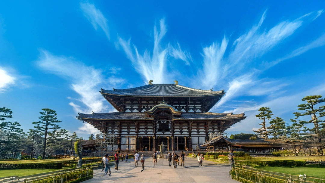 CHERRY BLOSSOM JAPAN