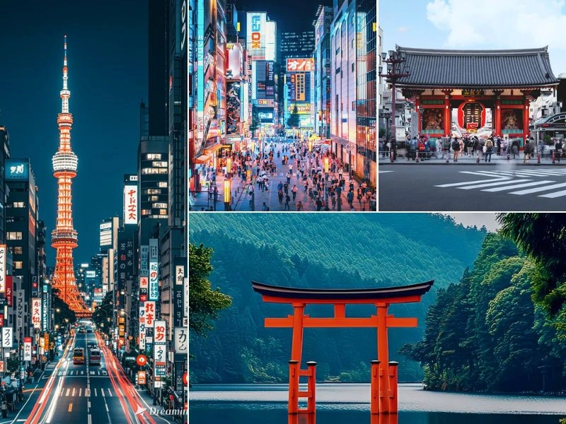 CHERRY BLOSSOM JAPAN