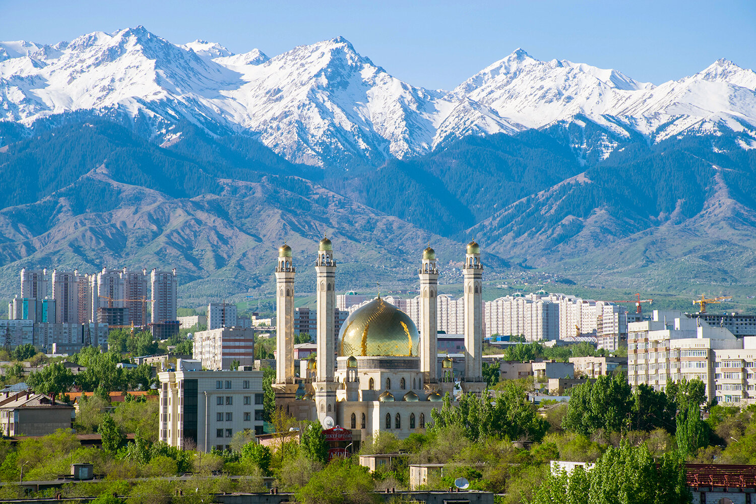 PLACID ALMATY