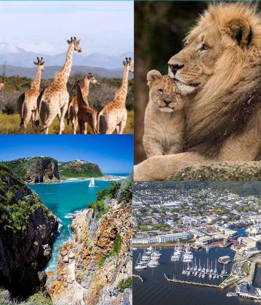 SOUTH AFRICAN ODYSSEY
