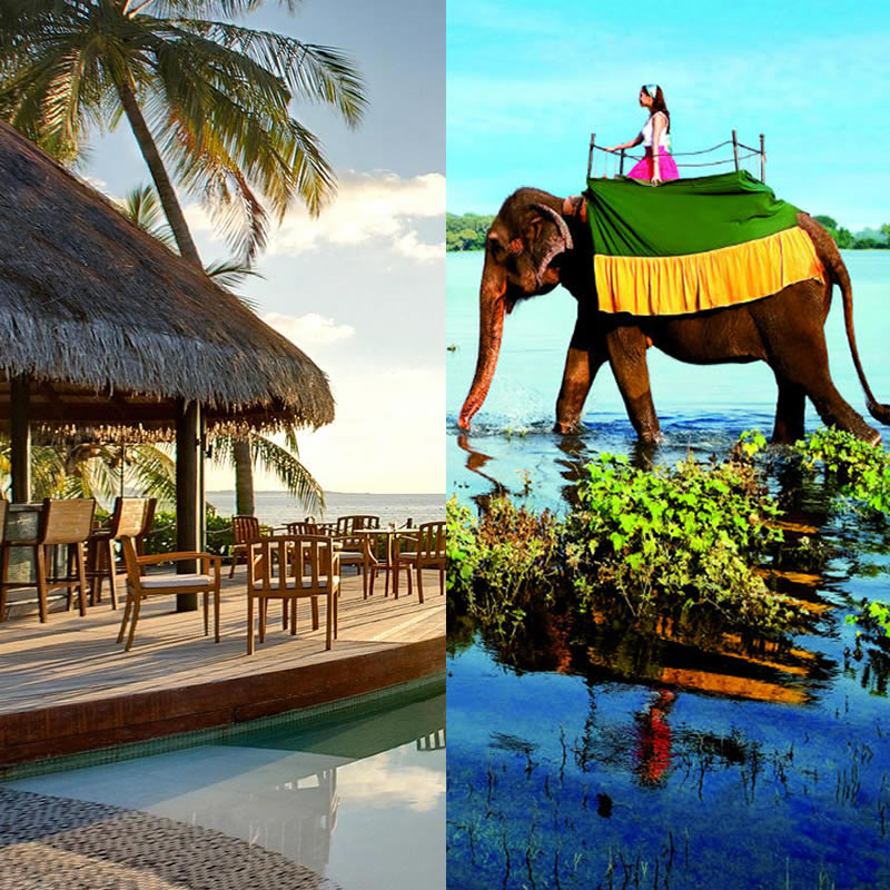 Gem of Sri-Lanka