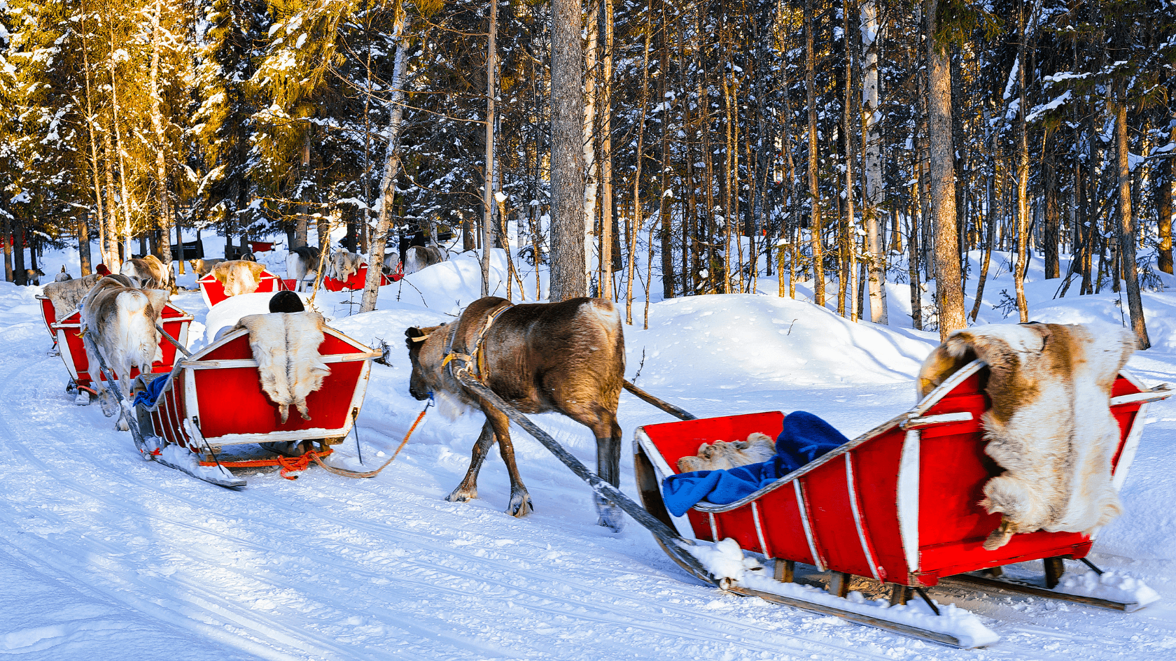 HIGHLIGHTS OF FINLAND