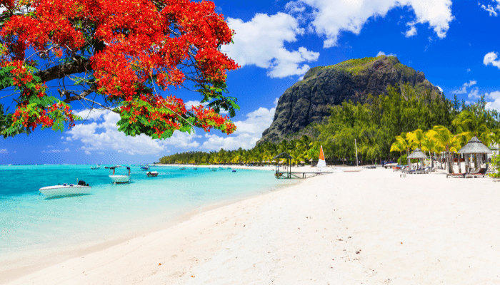 EXCITING MAURITIUS