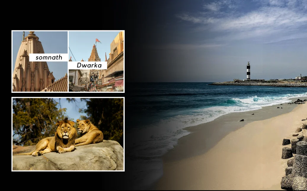 Gujarat Odyssey: Sacred Temples, Coastal Retreats, and Wildlife Wonders