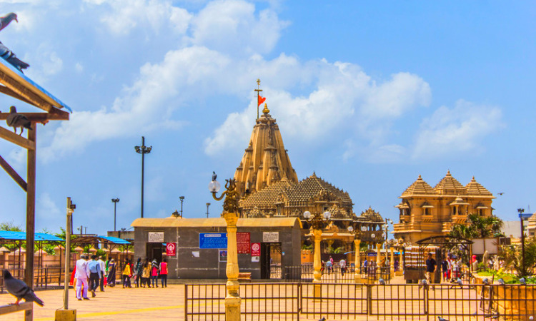 Gujarat Odyssey: Sacred Temples, Coastal Retreats, and Wildlife Wonders