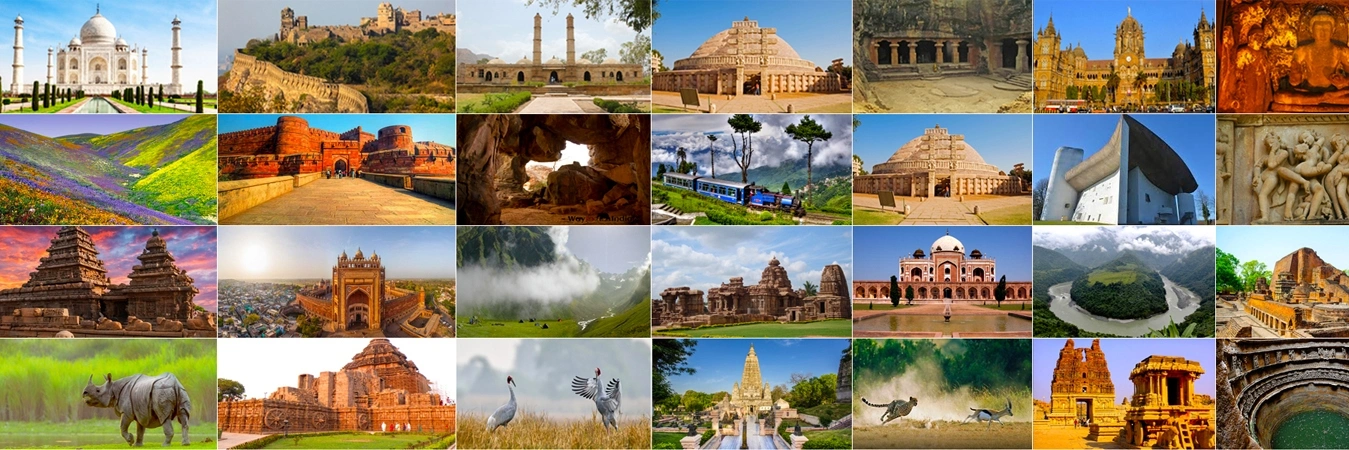 Royal Safari: A Journey Through Rajasthan’s Heritage and Wilderness